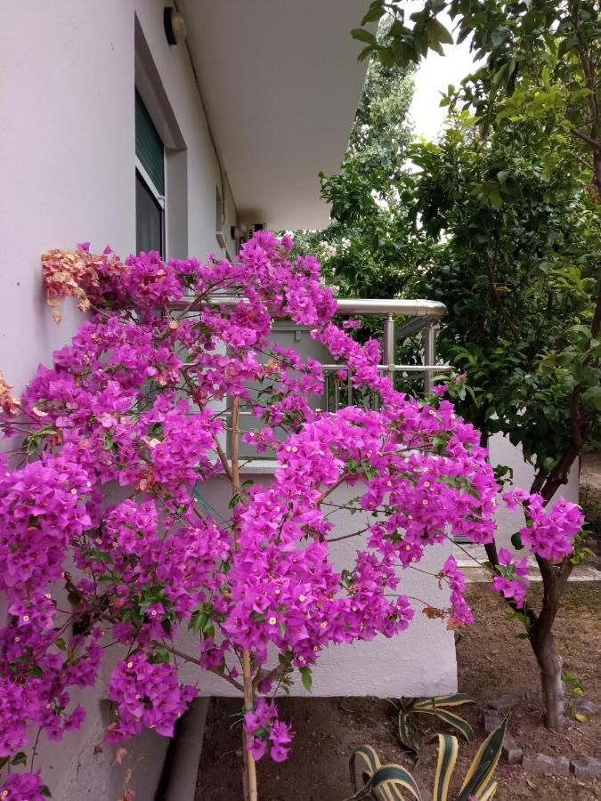 Sofia'S Garden Nea Peramos (Macedonia) Exterior foto